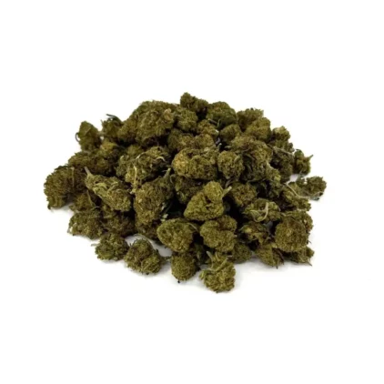 Small Buds Greenhouse – Image 2