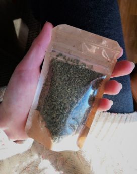 Trim cannabis CBD Amnesia Indoor bestown lyon