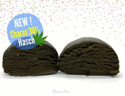 haschich charas cannabis cbd