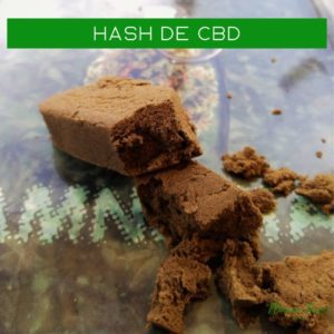 hash resine pollen shit cbd cannabis