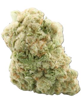 Small Buds Cryo Indoor